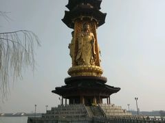 -溱湖国家湿地公园