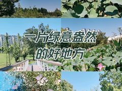 -蜀冈西峰生态公园