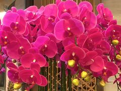 -上海小南国(国发店)