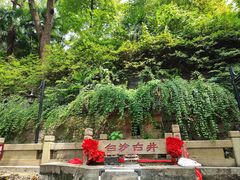 -白沙古井