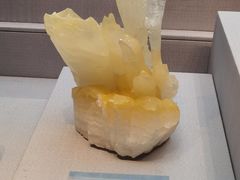 -湖南省地质博物馆