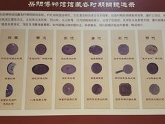 -岳阳市博物馆