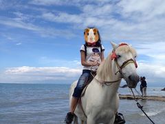 -青海湖国家重点风景名胜区