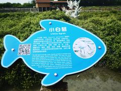 -北海金海湾红树林生态旅游区