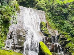 -藏龙百瀑风景区