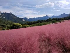 -昆嵛山石门里景区