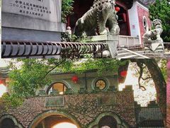 -新建村梅花