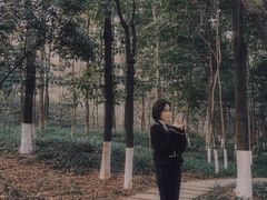 -重庆彩云湖湿地公园