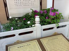 -神州牡丹园