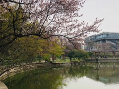 -嘉定紫藤园