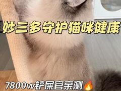 -瑞派申生动物医院·24H夜诊·国际动物医疗中心·骨外科(吴中路店)