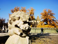 -北京石刻艺术博物馆(五塔寺)