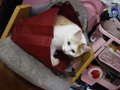 -章云板鸭(总店)