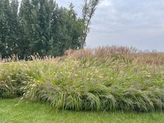 -汉长安城未央宫国家考古遗址公园