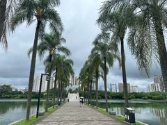 -南宁南湖公园