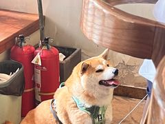 -戏作寿司(观音桥店)