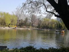 -团结湖公园