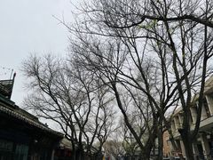 -南锣鼓巷