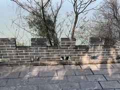 -三国赤壁古战场
