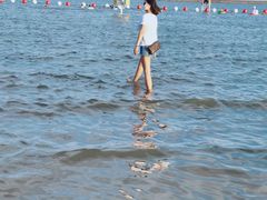 -碧海金沙