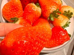 -三京祥烤肉自助料理(慈云寺店)