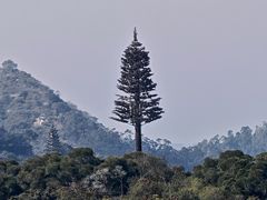 -仙岳公园