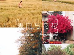 -西昌邛海湿地