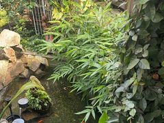 -水岸居湖景农家乐·阳澄湖大闸蟹