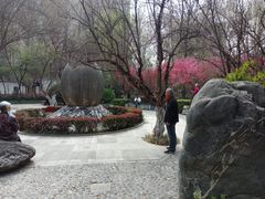 -西安市长乐公园