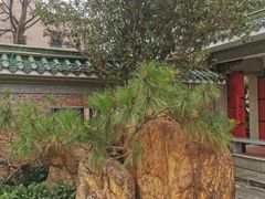 -名树园