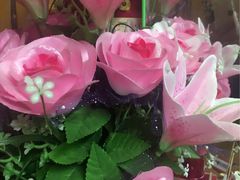 -金栗王(清扬路店)