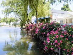 -金庭庄园酒店-停车场