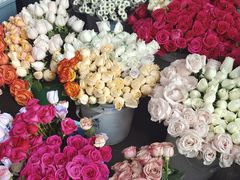 -循礼门鲜花花市(武汉循礼门店)