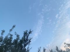 -营口金泰珑悦海景大酒店