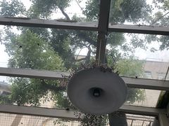 -燕庭·纯燕窝·甜品下午茶(南京西路店)
