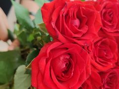 -曲阳花鸟市场(曲阳路店)