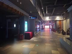 -万达影城(西铁营万达广场IMAX店)