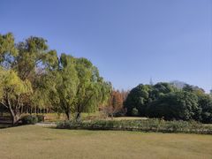 -上海滨江森林公园