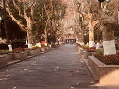 -浙江省杭州高级中学(贡院校区)