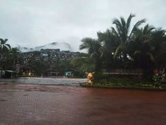 -呀诺达热带雨林