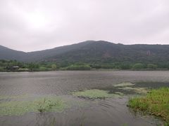 -长广溪湿地公园