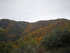 -云顶山风景区