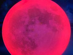 -天津梵高星空艺术馆(天河城旗舰店)