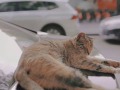 -鼓楼(西湖风景名胜区)