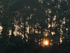 -火炉山森林公园