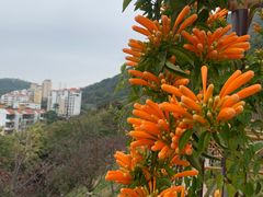 -小南山公园