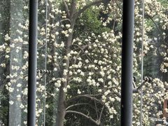 -南京晨光1865创意产业园