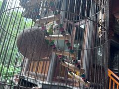 -鱼桥巷·美学川菜