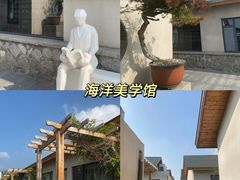 -日照海滨国家森林公园