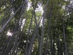 -汇龙潭